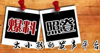 成都本地新闻爆料群,最新动态一网打尽 第2张 成都本地新闻爆料群,最新动态一网打尽 第2张