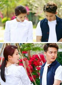 淘婚记全集在线观看,浪漫婚恋之旅,笑中带泪的甜蜜回忆 第2张 淘婚记全集在线观看,浪漫婚恋之旅,笑中带泪的甜蜜回忆 第2张