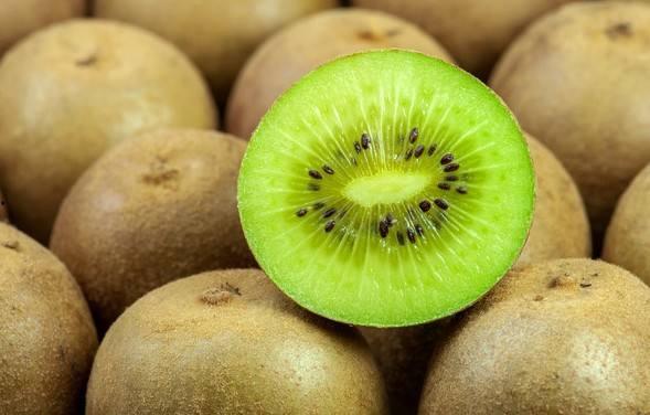 猕猴桃爆料新闻视频播放,揭秘猕猴桃产业最新动态 第1张 猕猴桃爆料新闻视频播放,揭秘猕猴桃产业最新动态 第1张