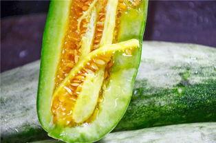 网红陈妮妮吃瓜图片,网红美食生活大揭秘 第2张 网红陈妮妮吃瓜图片,网红美食生活大揭秘 第2张